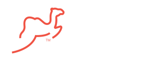 Sheik Lines
