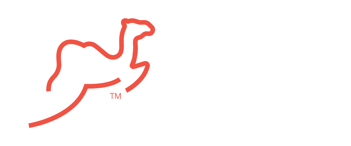 Sheik Lines